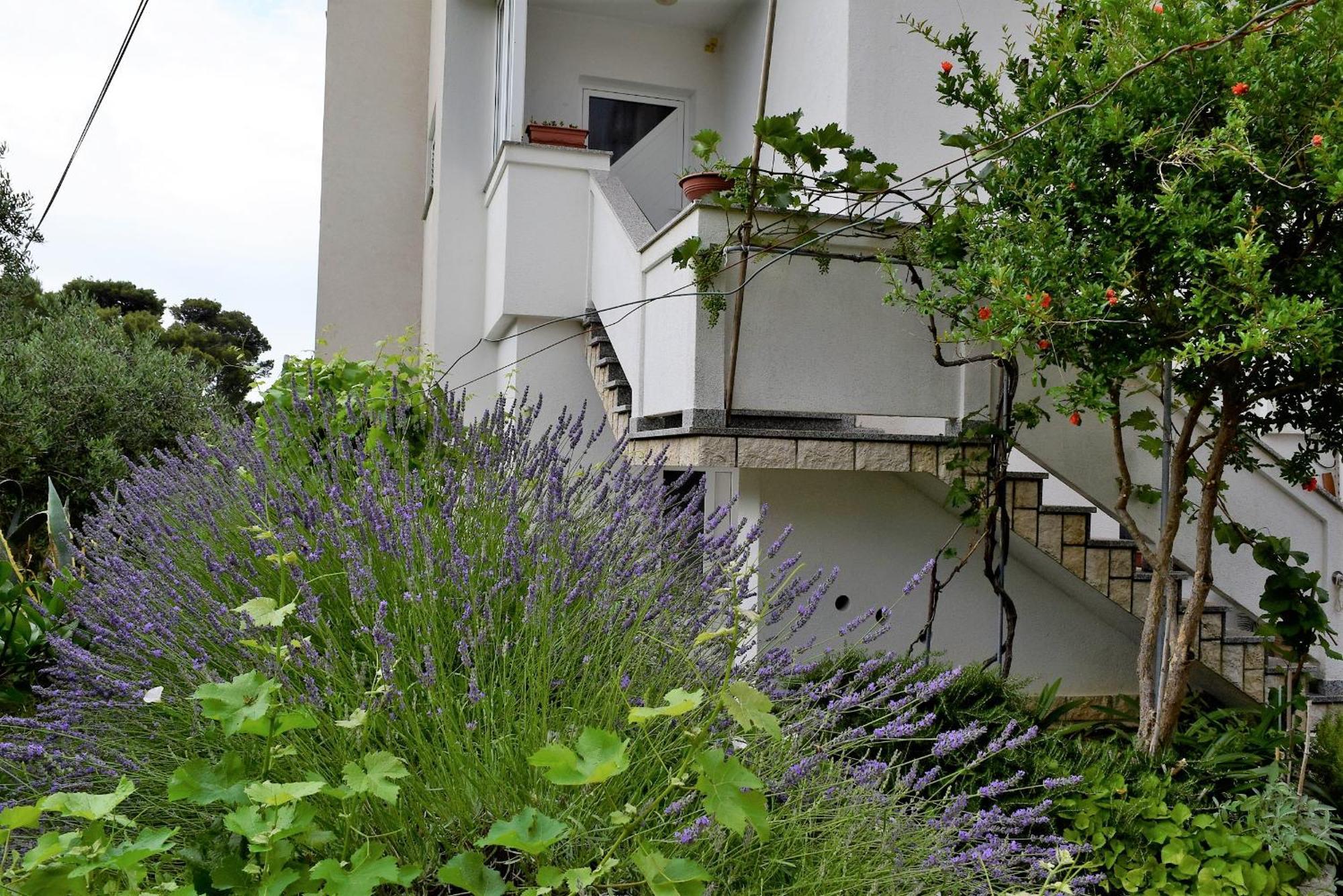 Sunnyy Beacch Apartments Banjol 客房 照片